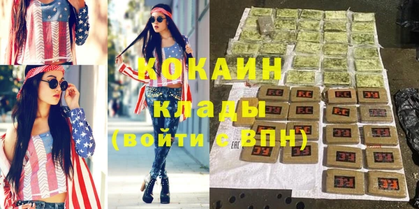 ГАЛЛЮЦИНОГЕННЫЕ ГРИБЫ Лагань