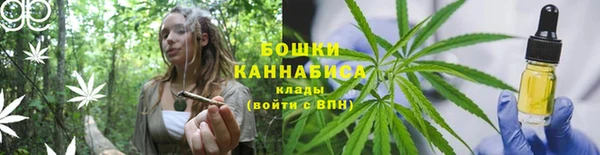 ГАЛЛЮЦИНОГЕННЫЕ ГРИБЫ Лагань
