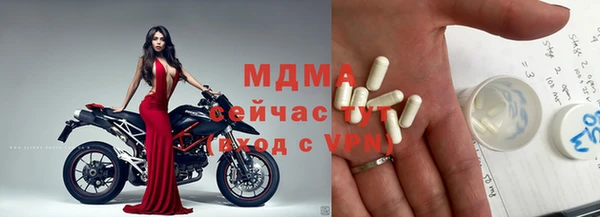 ГАЛЛЮЦИНОГЕННЫЕ ГРИБЫ Лагань