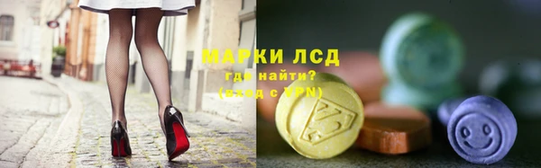 ГАЛЛЮЦИНОГЕННЫЕ ГРИБЫ Лагань