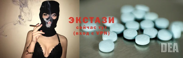 индика Долгопрудный