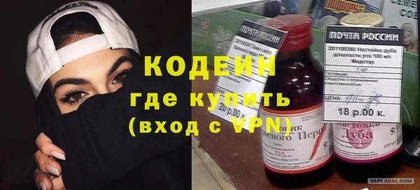 ГАЛЛЮЦИНОГЕННЫЕ ГРИБЫ Лагань
