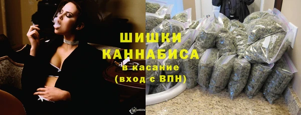 ГАЛЛЮЦИНОГЕННЫЕ ГРИБЫ Лагань